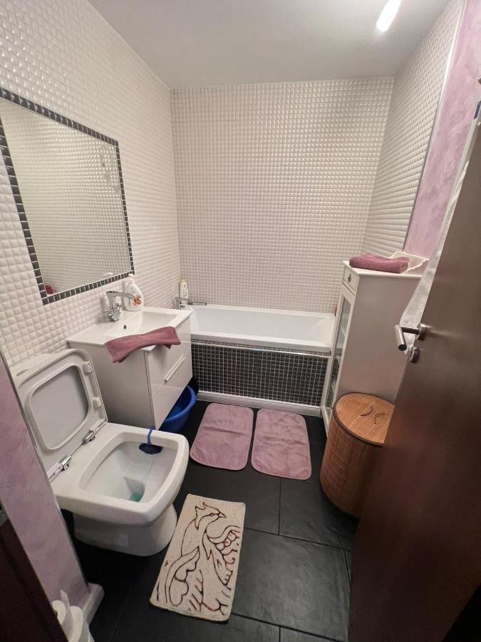 Duck Apartment Bukurešť Exteriér fotografie